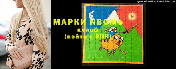 индика Видное