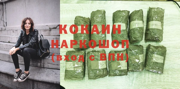 гидра Пересвет