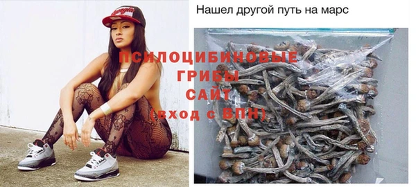 гидра Пересвет