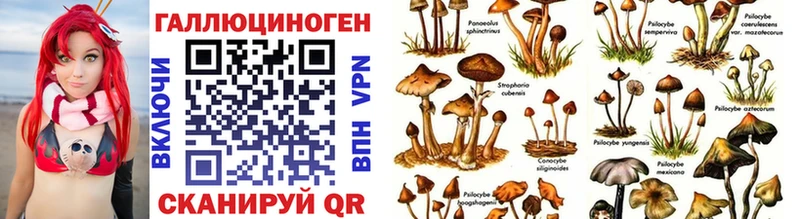 Галлюциногенные грибы Cubensis Абаза